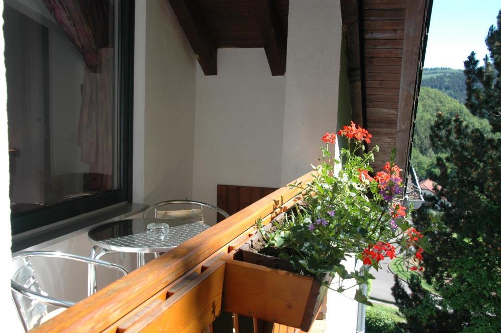 Pension Haus Diefenbach Heimbach Cameră foto